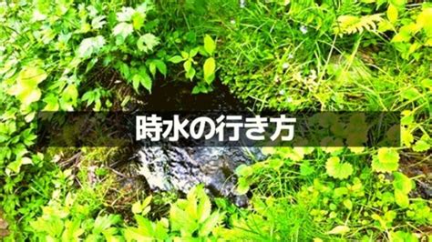 水時水地